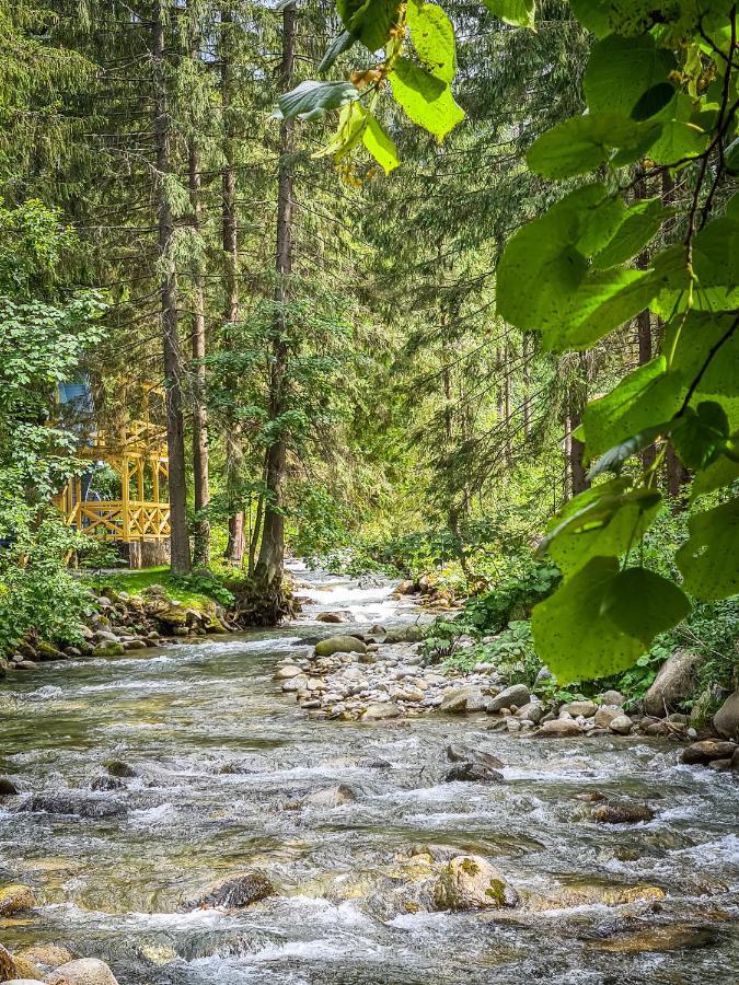 Tatrystay Riverstone Chalets Dolina Demianowska Zewnętrze zdjęcie